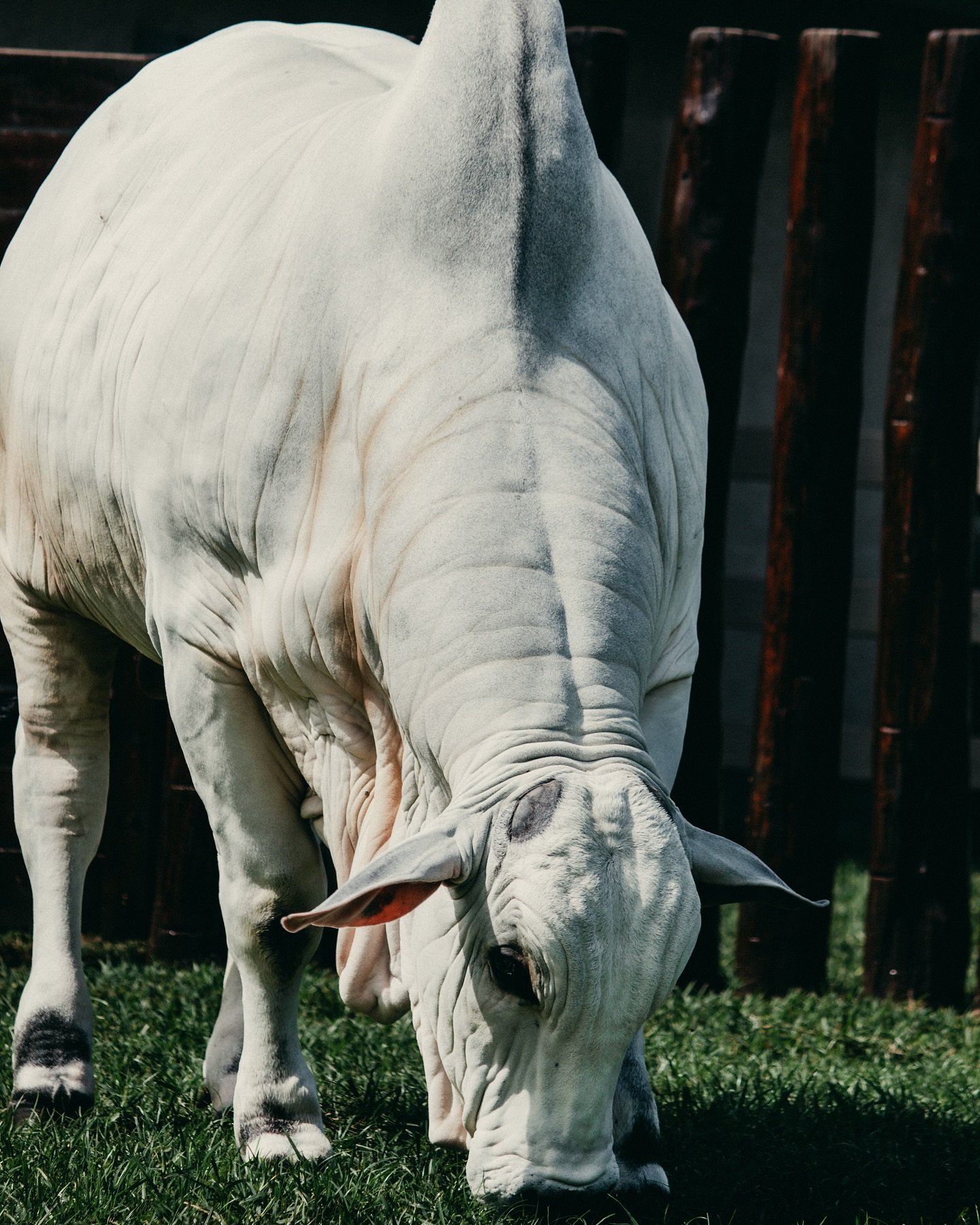 Expansão da Valor Assessoria