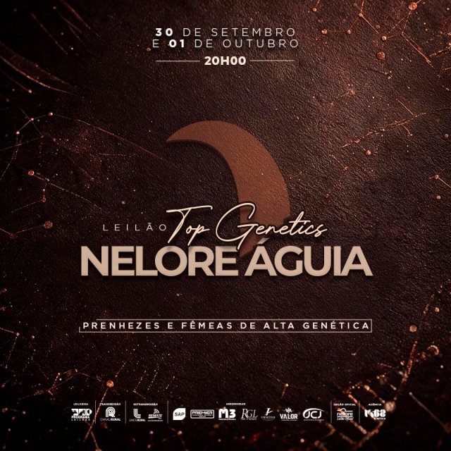 Nelore Águia Matrizes